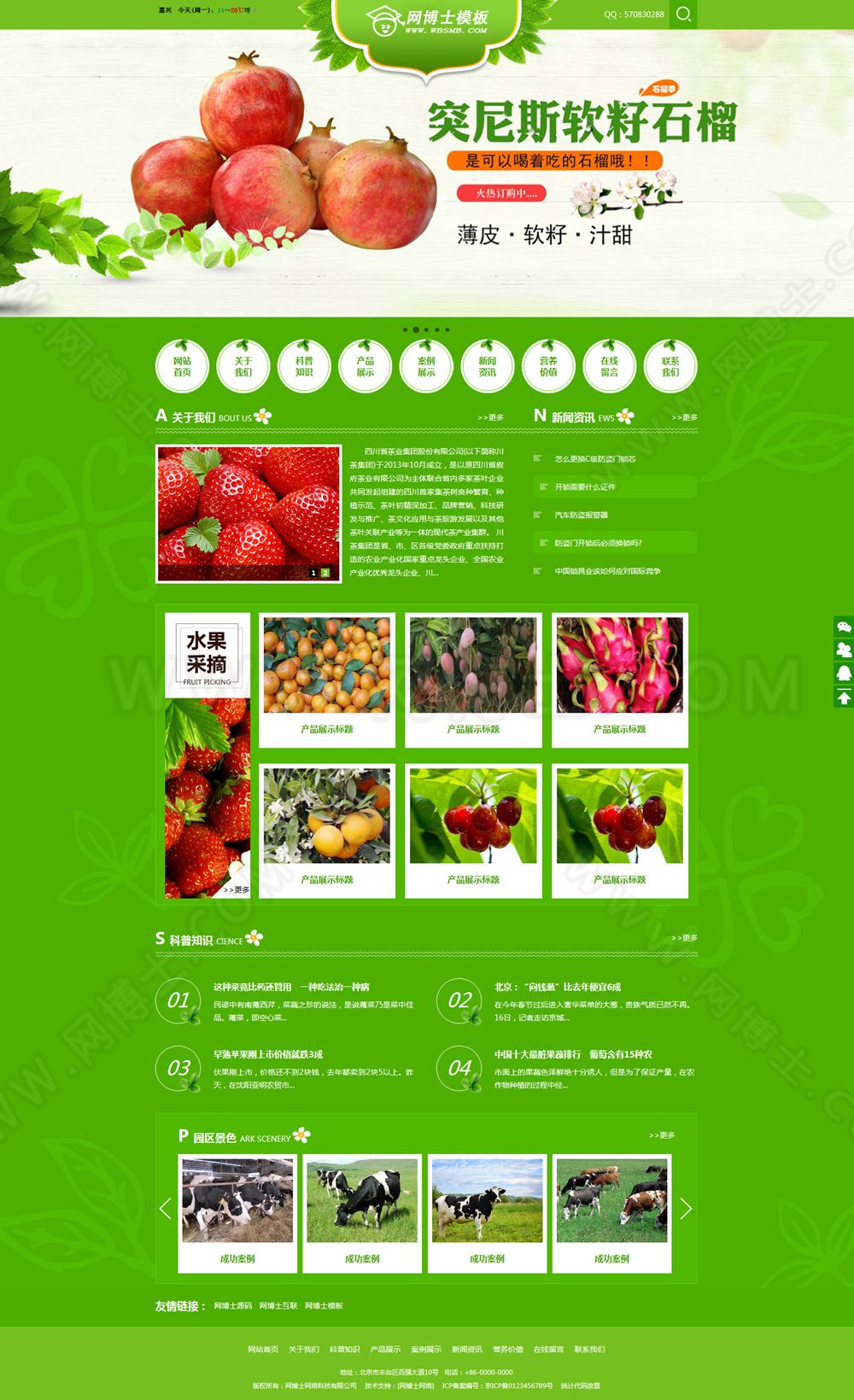 （手机数据同步）绿色水果蔬菜类